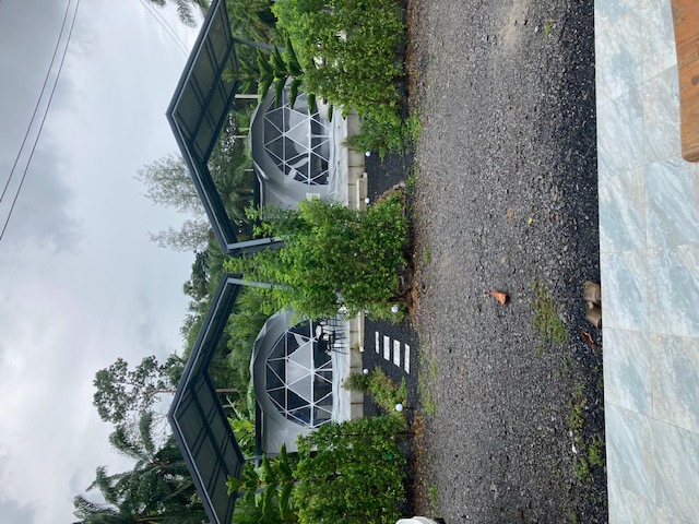 Two dome tents nestled among tropical greenery at Wanasa Cafe and Glamping